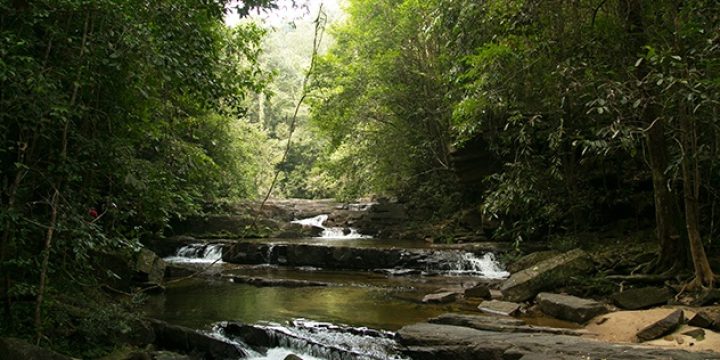 Kithulgala-4