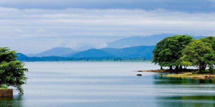 udawalawe-reservoir-hemantha-fernando